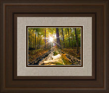 Load image into Gallery viewer, Plate 4 - Suddenly a Light Descended!
