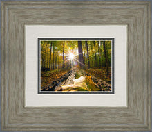 Load image into Gallery viewer, Plate 4 - Suddenly a Light Descended!
