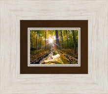 Load image into Gallery viewer, Plate 4 - Suddenly a Light Descended!
