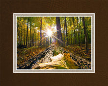 Load image into Gallery viewer, Plate 4 - Suddenly a Light Descended!
