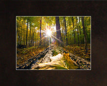 Load image into Gallery viewer, Plate 4 - Suddenly a Light Descended!

