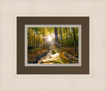 Load image into Gallery viewer, Plate 4 - Suddenly a Light Descended!
