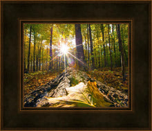 Load image into Gallery viewer, Plate 4 - Suddenly a Light Descended!
