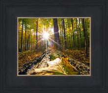 Load image into Gallery viewer, Plate 4 - Suddenly a Light Descended!

