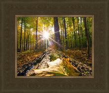 Load image into Gallery viewer, Plate 4 - Suddenly a Light Descended!
