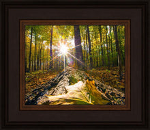 Load image into Gallery viewer, Plate 4 - Suddenly a Light Descended!
