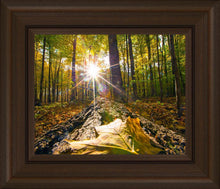 Load image into Gallery viewer, Plate 4 - Suddenly a Light Descended!
