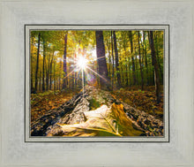 Load image into Gallery viewer, Plate 4 - Suddenly a Light Descended!
