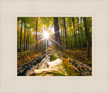 Load image into Gallery viewer, Plate 4 - Suddenly a Light Descended!
