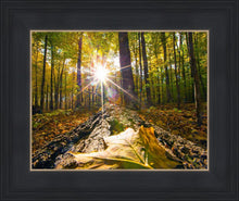 Load image into Gallery viewer, Plate 4 - Suddenly a Light Descended!
