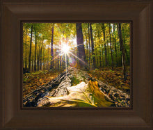 Load image into Gallery viewer, Plate 4 - Suddenly a Light Descended!

