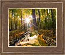 Load image into Gallery viewer, Plate 4 - Suddenly a Light Descended!
