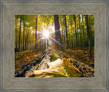 Load image into Gallery viewer, Plate 4 - Suddenly a Light Descended!
