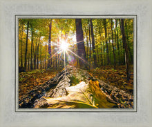 Load image into Gallery viewer, Plate 4 - Suddenly a Light Descended!
