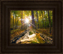 Load image into Gallery viewer, Plate 4 - Suddenly a Light Descended!
