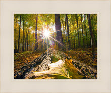 Load image into Gallery viewer, Plate 4 - Suddenly a Light Descended!
