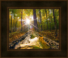 Load image into Gallery viewer, Plate 4 - Suddenly a Light Descended!
