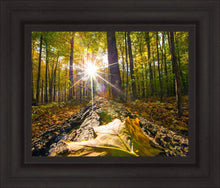Load image into Gallery viewer, Plate 4 - Suddenly a Light Descended!
