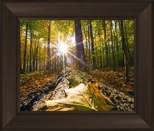 Load image into Gallery viewer, Plate 4 - Suddenly a Light Descended!
