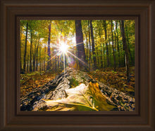 Load image into Gallery viewer, Plate 4 - Suddenly a Light Descended!
