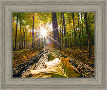 Load image into Gallery viewer, Plate 4 - Suddenly a Light Descended!
