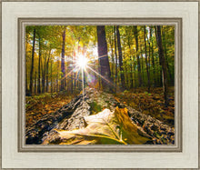 Load image into Gallery viewer, Plate 4 - Suddenly a Light Descended!
