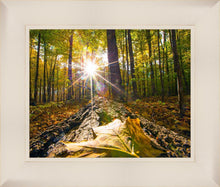Load image into Gallery viewer, Plate 4 - Suddenly a Light Descended!
