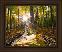 Load image into Gallery viewer, Plate 4 - Suddenly a Light Descended!
