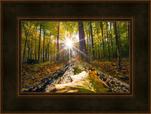 Load image into Gallery viewer, Plate 4 - Suddenly a Light Descended!
