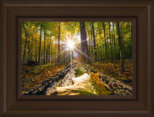 Load image into Gallery viewer, Plate 4 - Suddenly a Light Descended!
