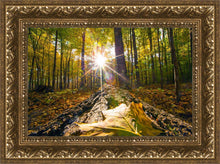 Load image into Gallery viewer, Plate 4 - Suddenly a Light Descended!
