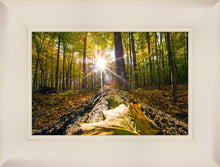 Load image into Gallery viewer, Plate 4 - Suddenly a Light Descended!
