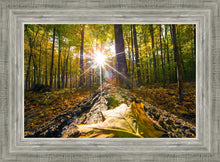 Load image into Gallery viewer, Plate 4 - Suddenly a Light Descended!
