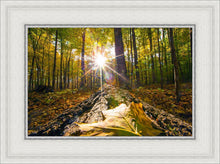 Load image into Gallery viewer, Plate 4 - Suddenly a Light Descended!
