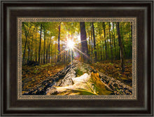 Load image into Gallery viewer, Plate 4 - Suddenly a Light Descended!
