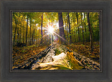 Load image into Gallery viewer, Plate 4 - Suddenly a Light Descended!
