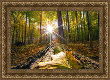 Load image into Gallery viewer, Plate 4 - Suddenly a Light Descended!
