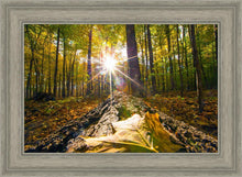 Load image into Gallery viewer, Plate 4 - Suddenly a Light Descended!

