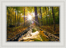 Load image into Gallery viewer, Plate 4 - Suddenly a Light Descended!
