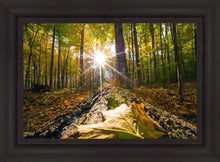 Load image into Gallery viewer, Plate 4 - Suddenly a Light Descended!
