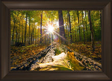 Load image into Gallery viewer, Plate 4 - Suddenly a Light Descended!
