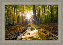 Load image into Gallery viewer, Plate 4 - Suddenly a Light Descended!
