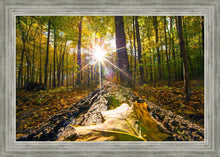 Load image into Gallery viewer, Plate 4 - Suddenly a Light Descended!
