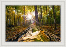 Load image into Gallery viewer, Plate 4 - Suddenly a Light Descended!
