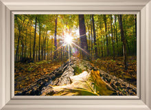 Load image into Gallery viewer, Plate 4 - Suddenly a Light Descended!

