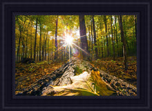 Load image into Gallery viewer, Plate 4 - Suddenly a Light Descended!
