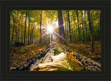 Load image into Gallery viewer, Plate 4 - Suddenly a Light Descended!
