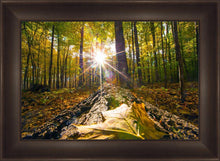 Load image into Gallery viewer, Plate 4 - Suddenly a Light Descended!
