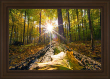 Load image into Gallery viewer, Plate 4 - Suddenly a Light Descended!
