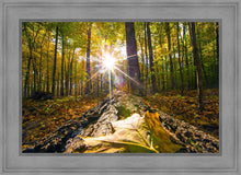 Load image into Gallery viewer, Plate 4 - Suddenly a Light Descended!
